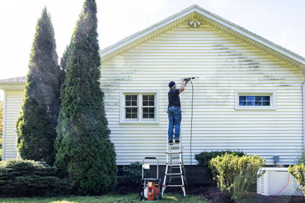 Best Building Exterior Washing  in Bloomfield, IA